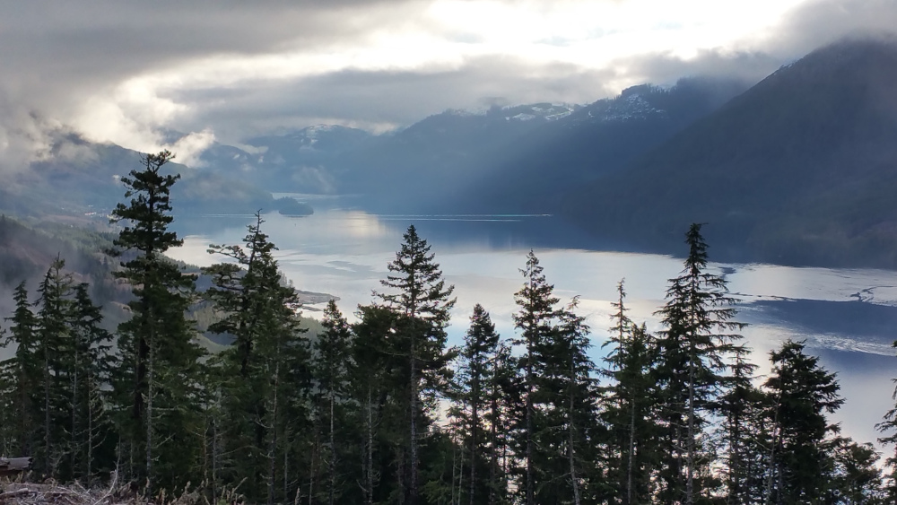 The Port Alice Inlet