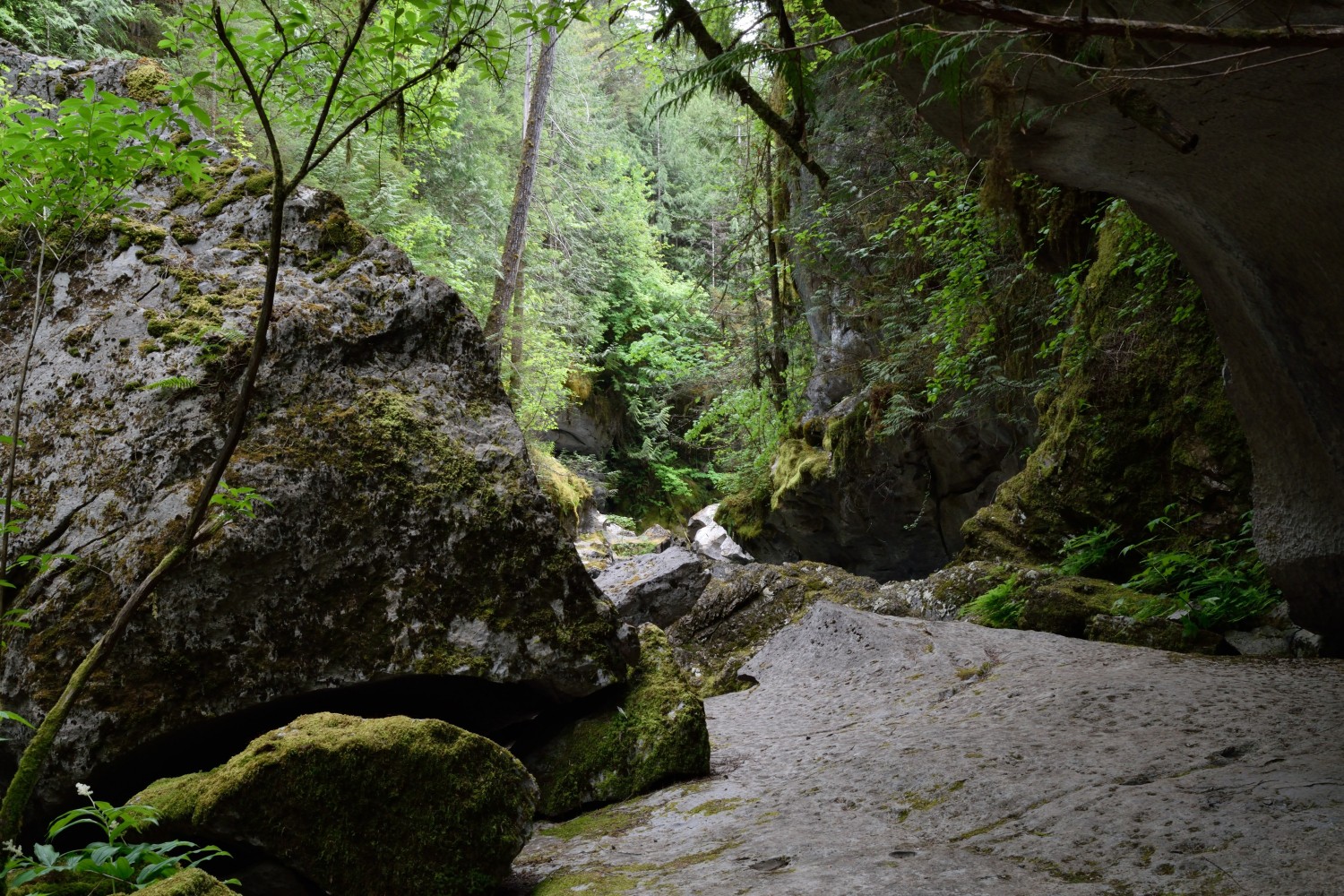 Huson Caves