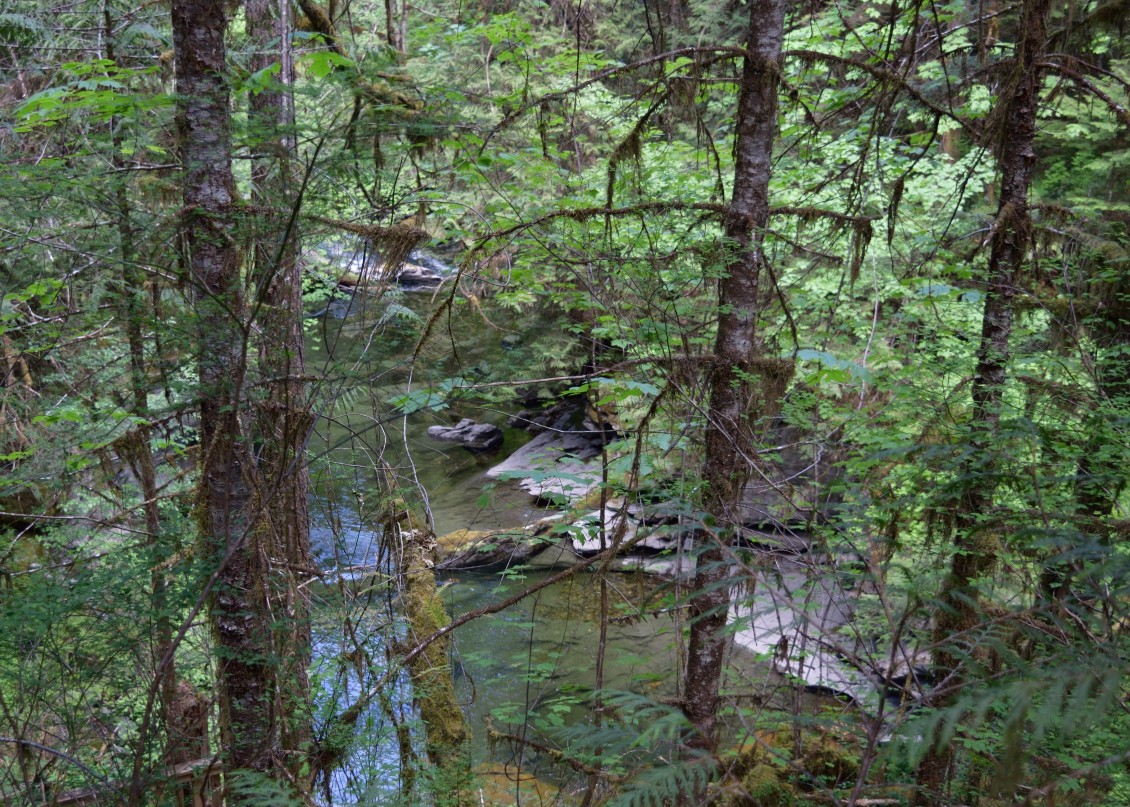 Huson Caves