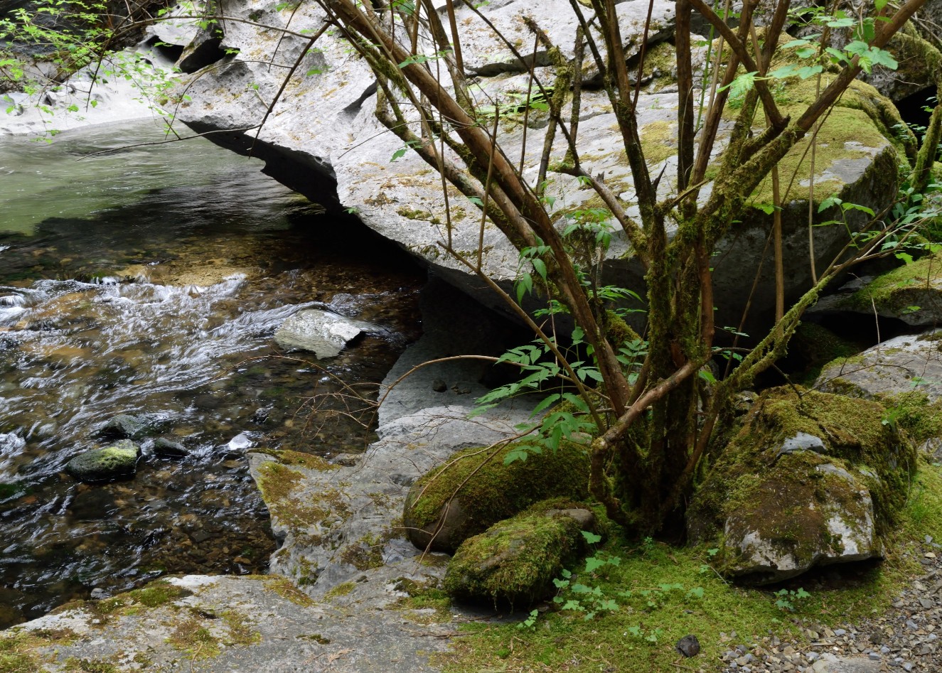 Huson Caves