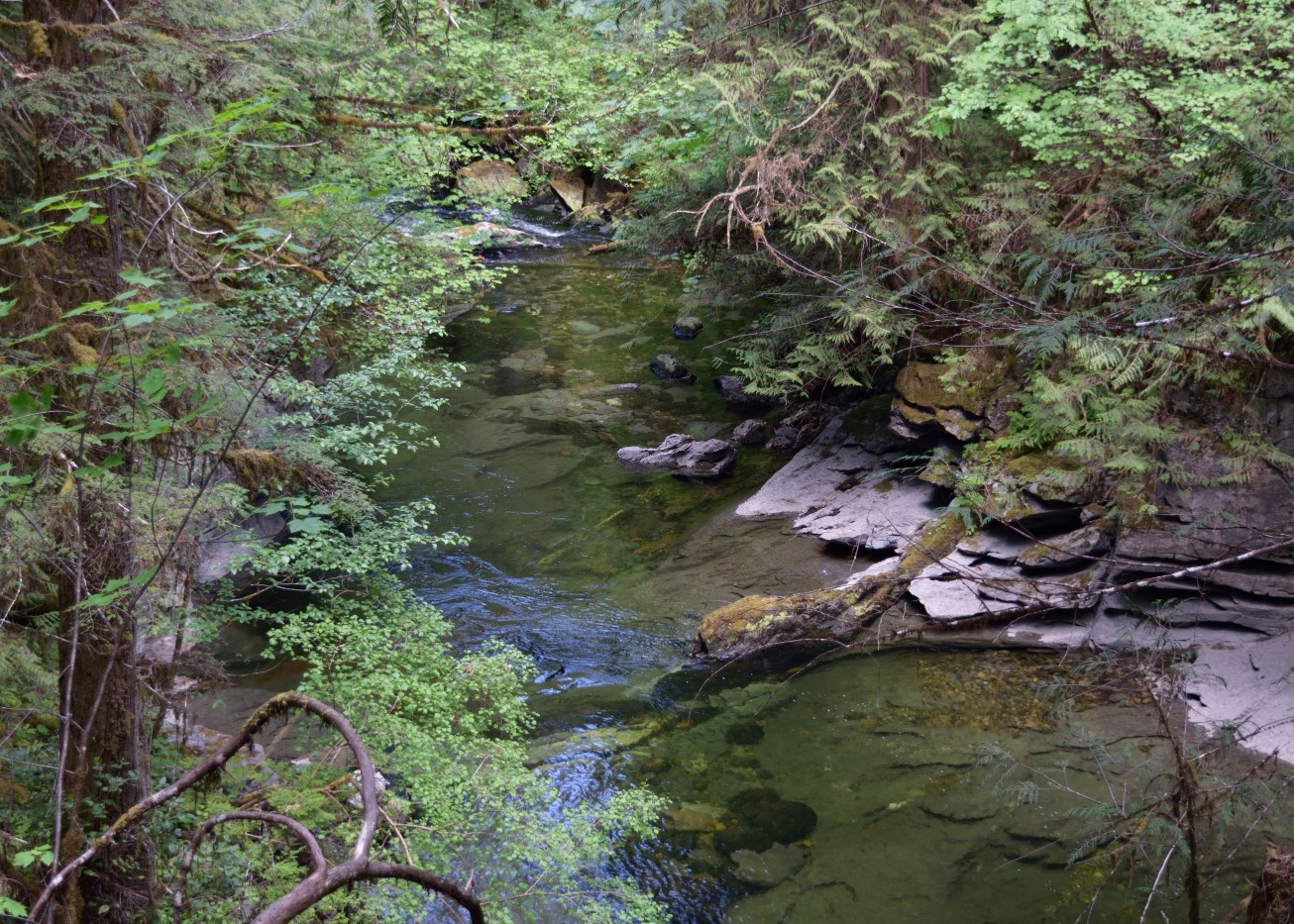 Huson Caves