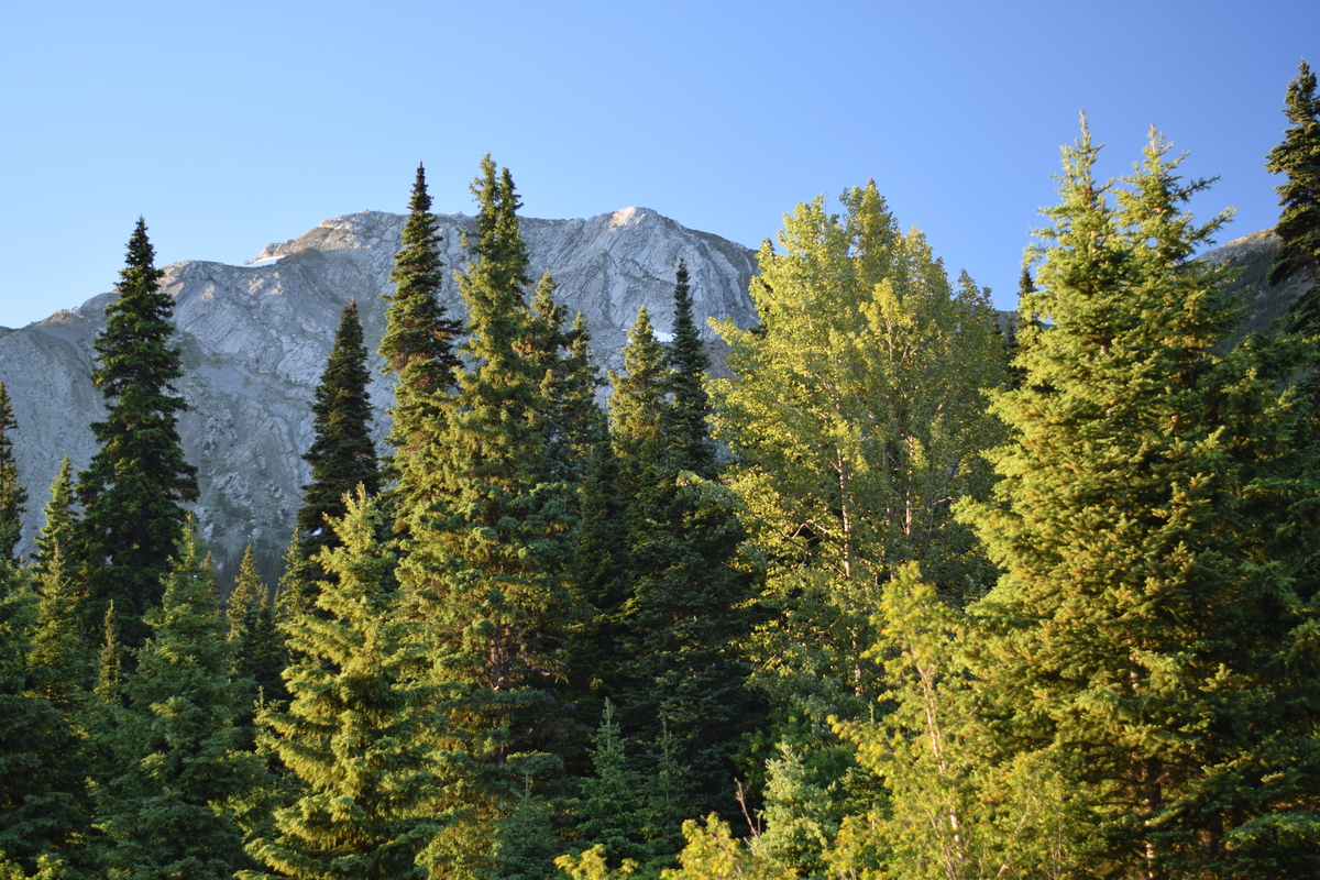 Schoen Lake