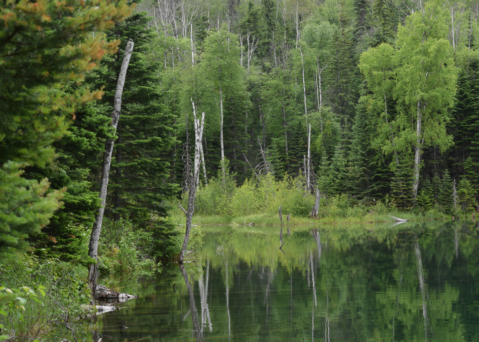 Schoen Lake