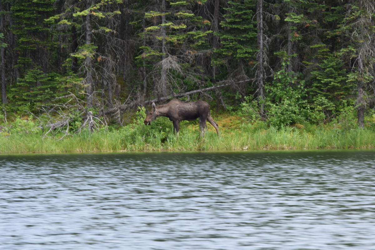 Schoen Lake