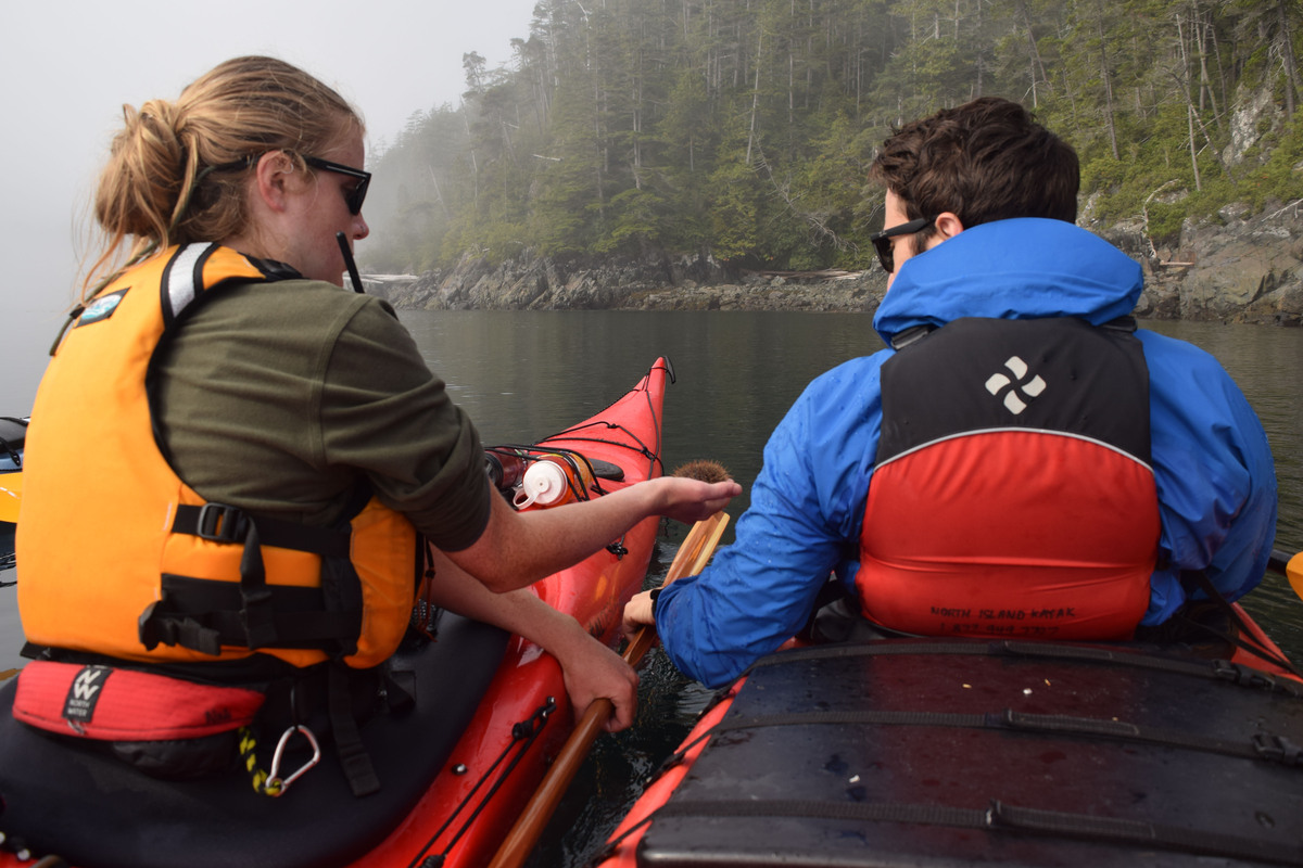 Telegraph Cove