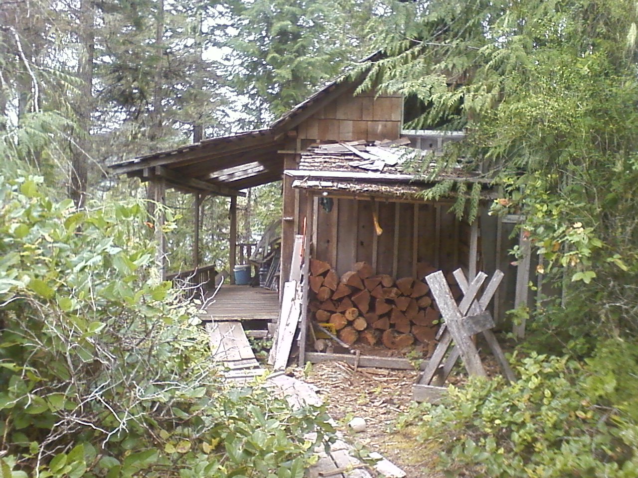 The Cabin