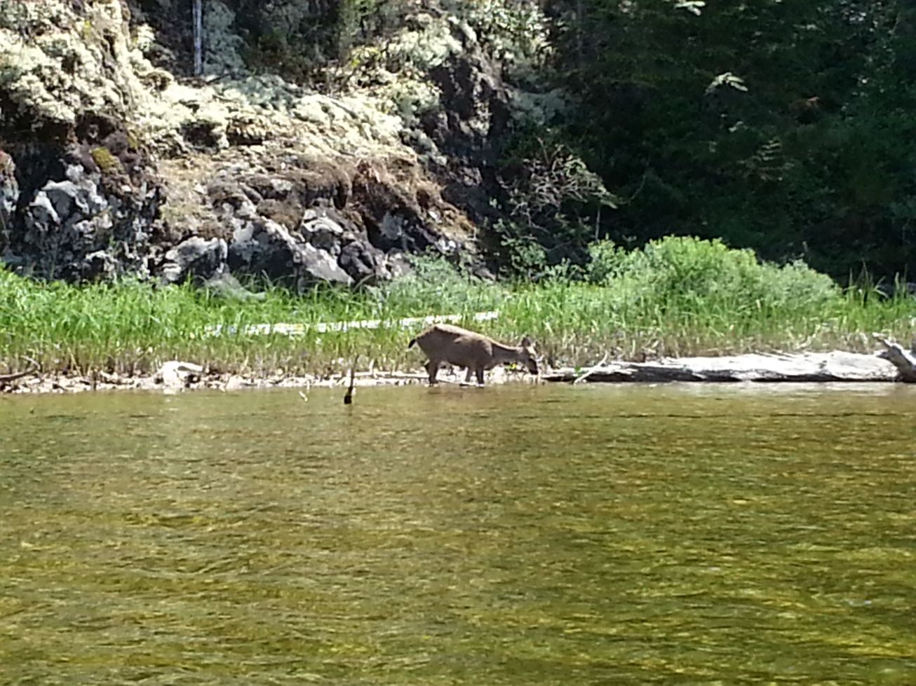 Marble River Hatch