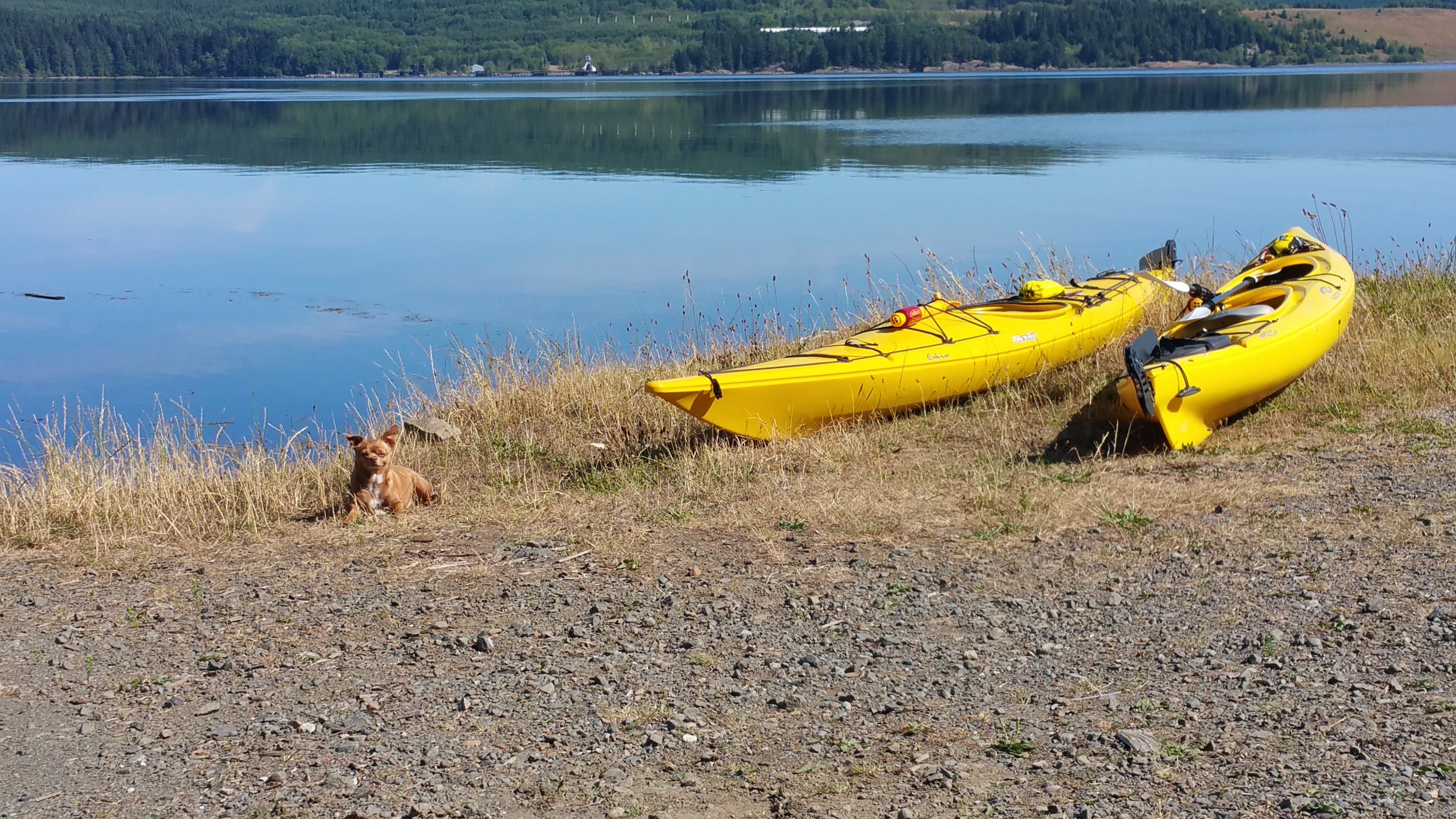 Chloe eager to kayak