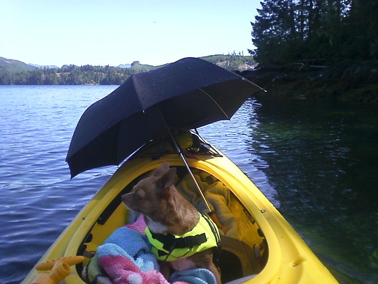 Chloe kayaking with an umbrella