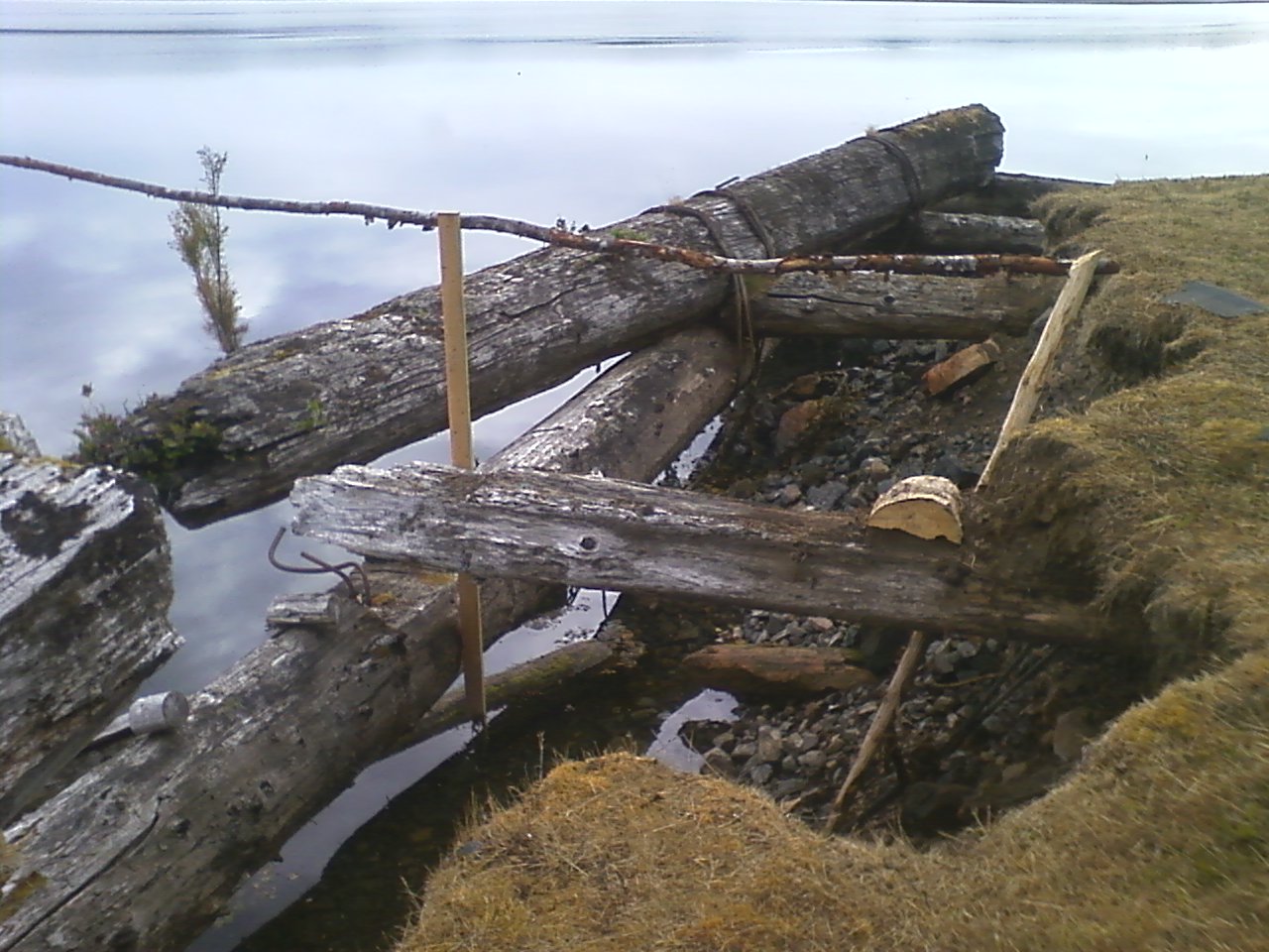 Protruding driftwood