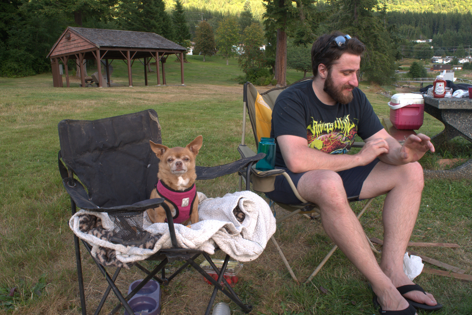 Chloe's Last Summer
